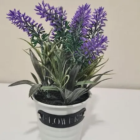 Gold Luxury Gæstehus 4*